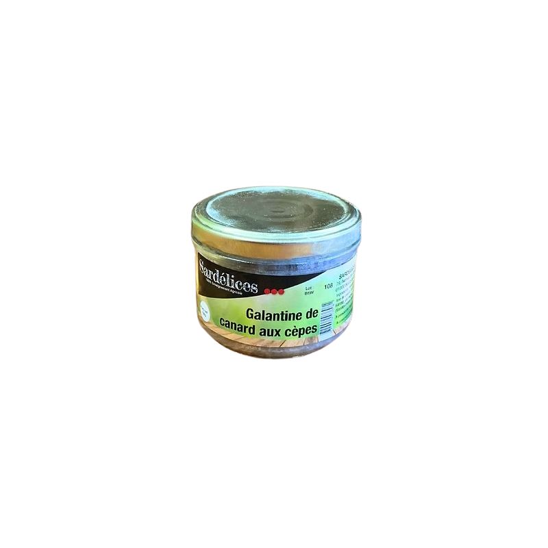 Galantine de Canard aux Cèpes