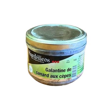 Galantine de Canard aux Cèpes